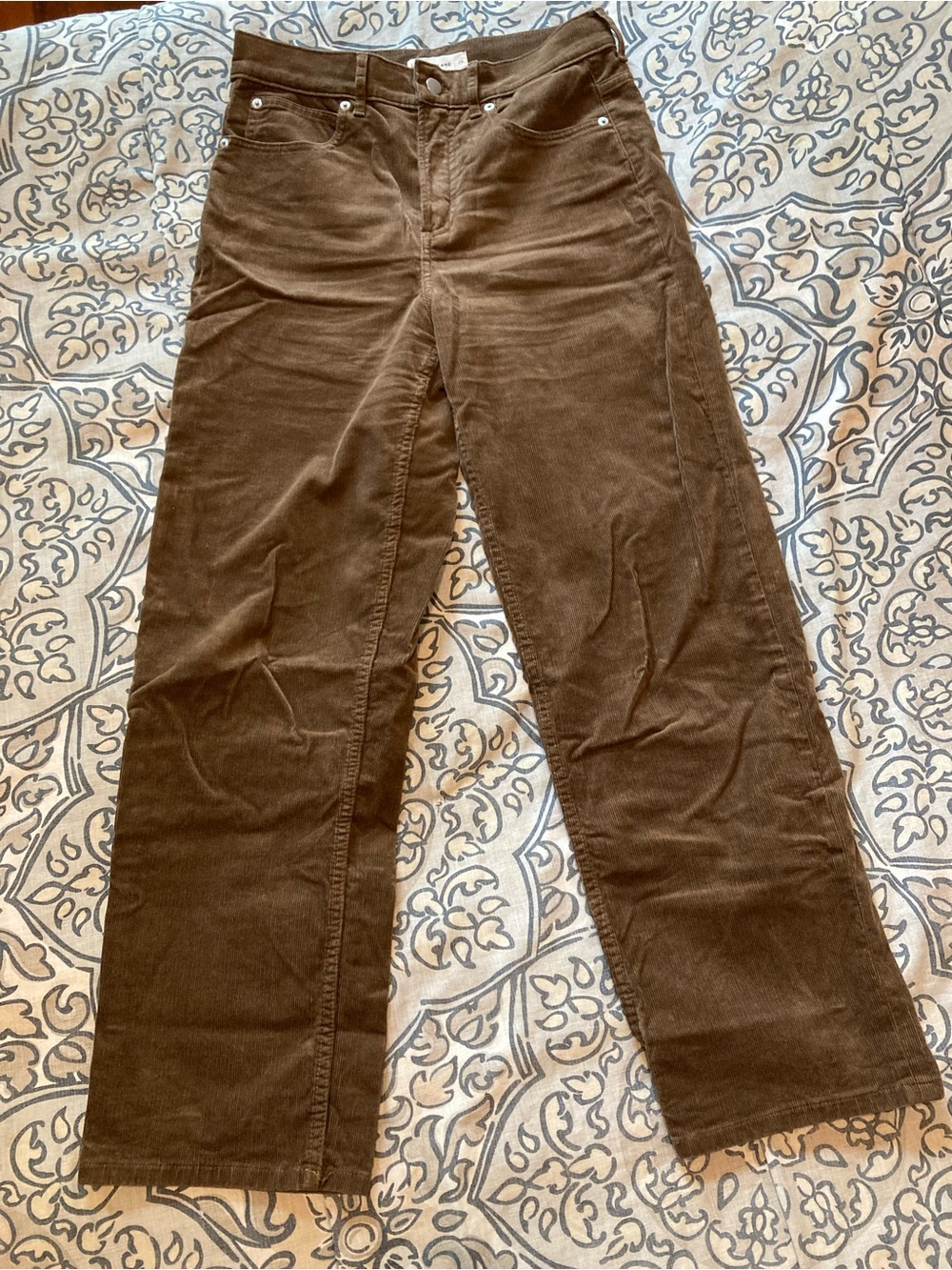 Everlane Way-High Corduroy Pant in Cocoa